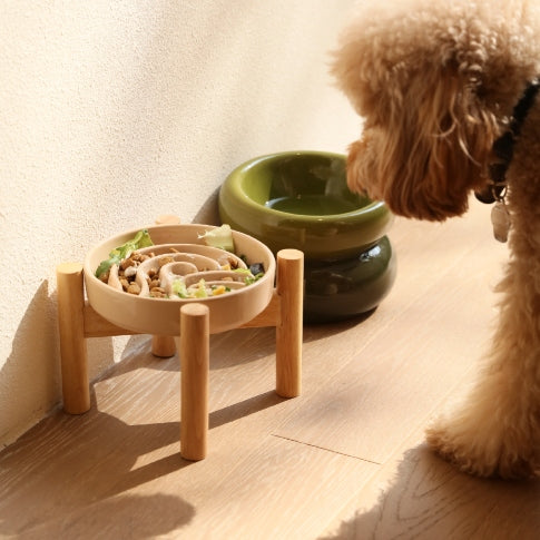 Slow Feeder Dog Bowls