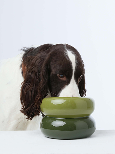 Soufflé Pet Bowl - Avocado Green