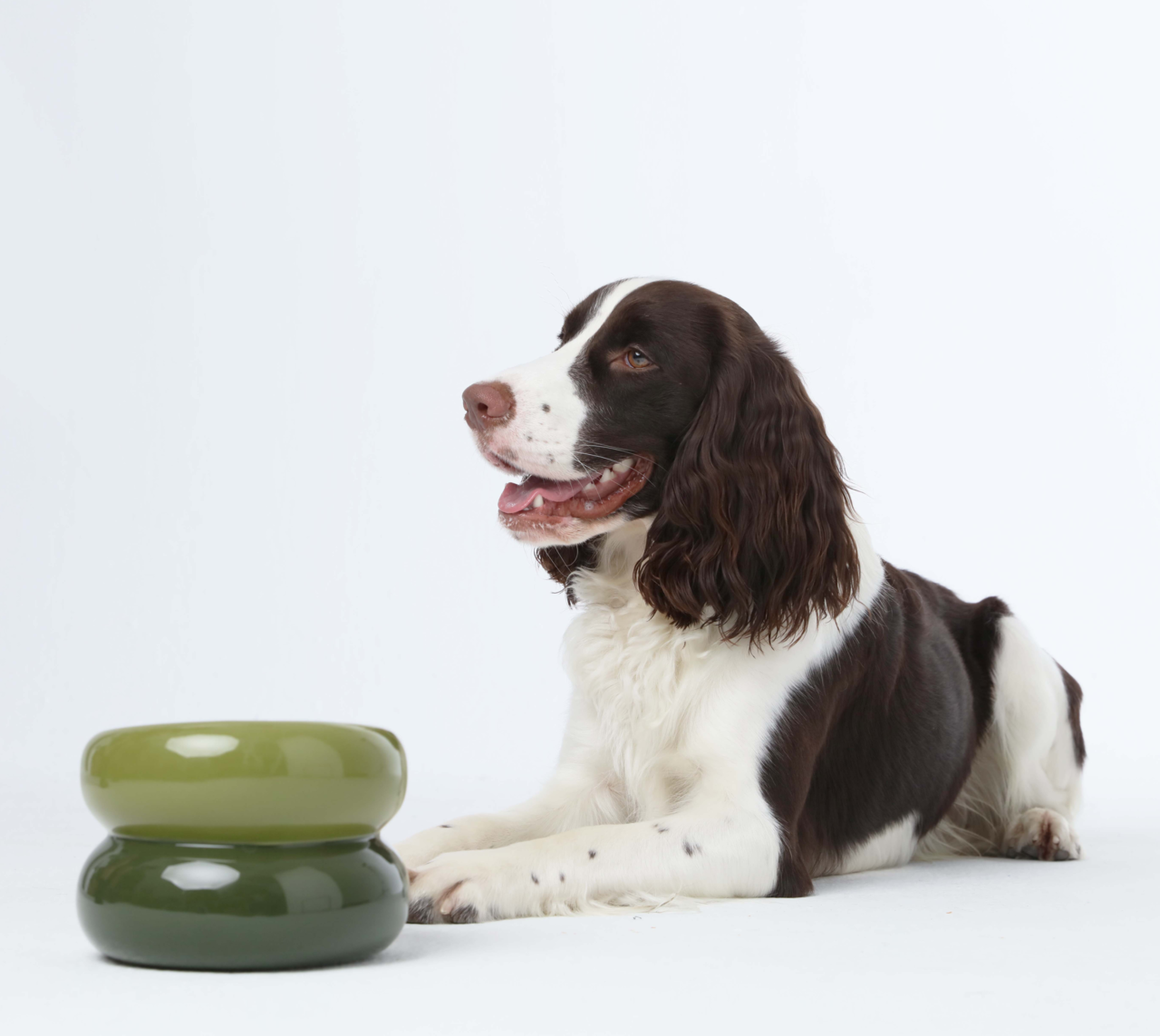 Soufflé Pet Bowl - Avocado Green