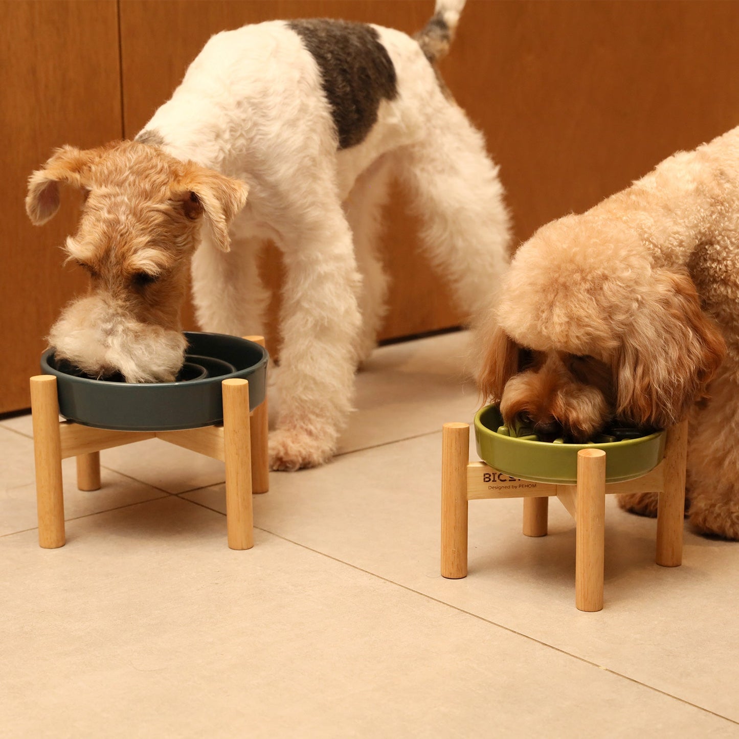 Slow Feeder Dog Bowls
