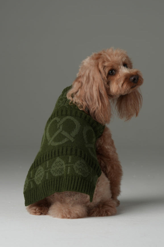 Pretzel Pet Sweater - Olive Green