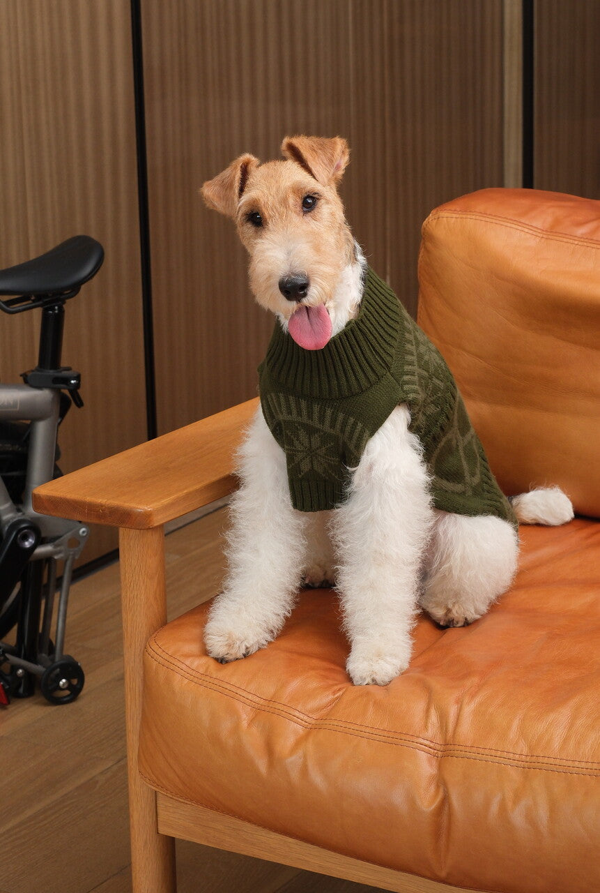 Pretzel Pet Sweater - Olive Green